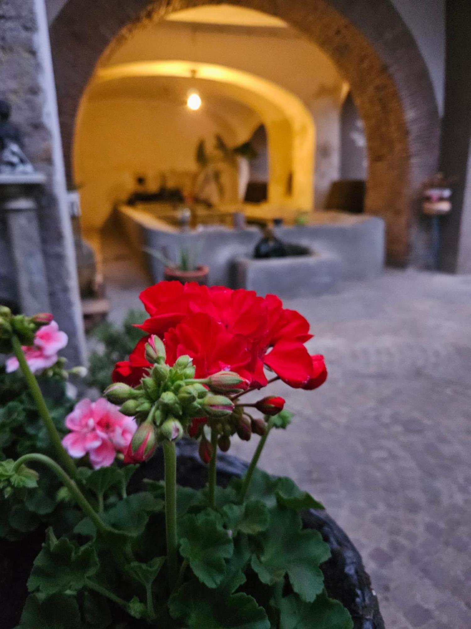 Bed and Breakfast L' Antico Lavatoio à Rignano Flaminio Extérieur photo