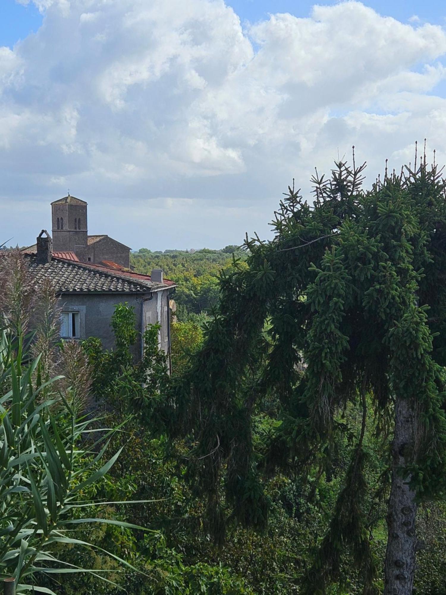 Bed and Breakfast L' Antico Lavatoio à Rignano Flaminio Extérieur photo